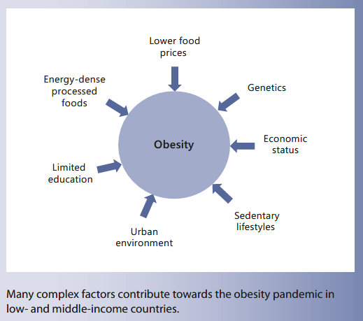 The Double Burden of Malnutrition in Countries Passing through the ...