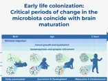 Microbiome and Brain Development: A Tale of Two Systems Microbiome and Brain Development: A Tale of Two Systems