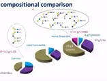 What are Human Milk Oligosaccharides? (videos)