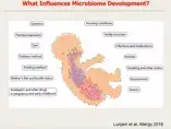 The Development of the Gut Microbiome and its Role (videos)