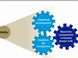 Video Teaser: Human Milk Oligosaccharides and Neonatal Immunity (videos)