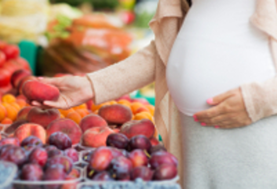 Prenatal malnutrition and posnatal health  (news)