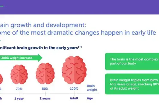 Brain Development and Toddlers’ Diet: Is There a Link?