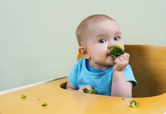 Children more likely to like vegetables