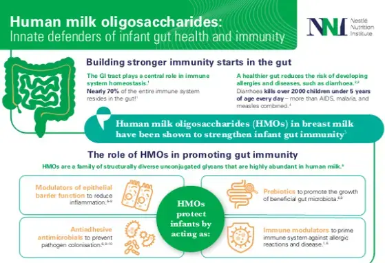 HMO infographic landscape v2.png