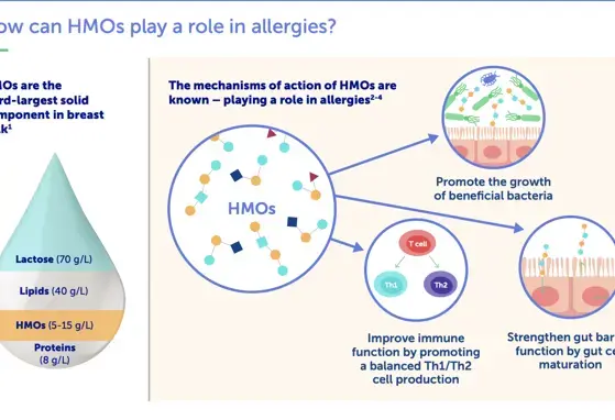 HMOs and Allergy