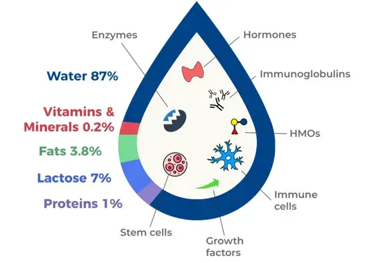 Nutritive components of human breast milk