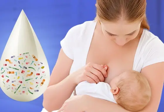 The Human Milk Microbiome: A living ecosystem that benefits mothers and infants