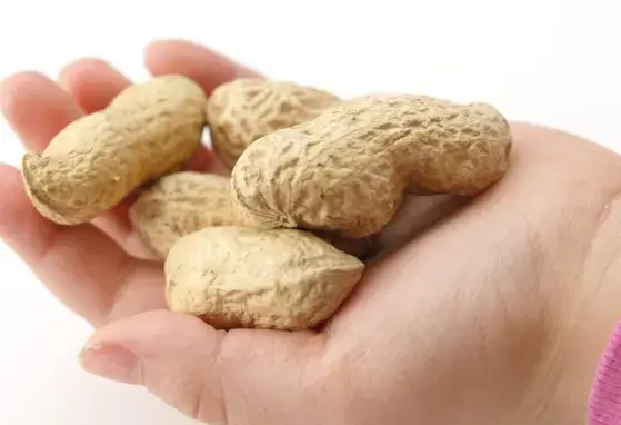 Nuts for healthier hearts: Large study supports health benefits of nuts  (news)