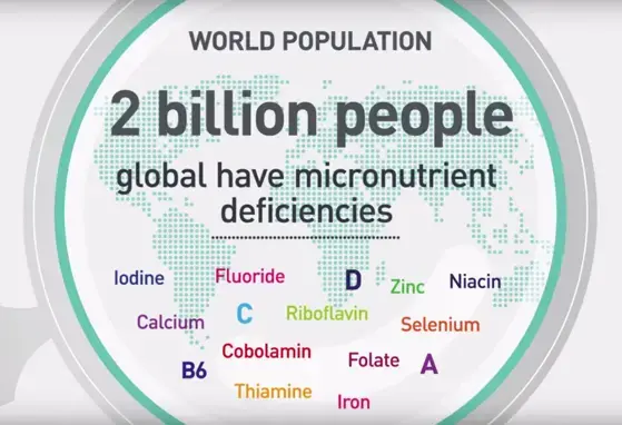 Complementary Feeding (videos)