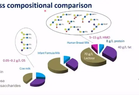 What are Human Milk Oligosaccharides? (videos)