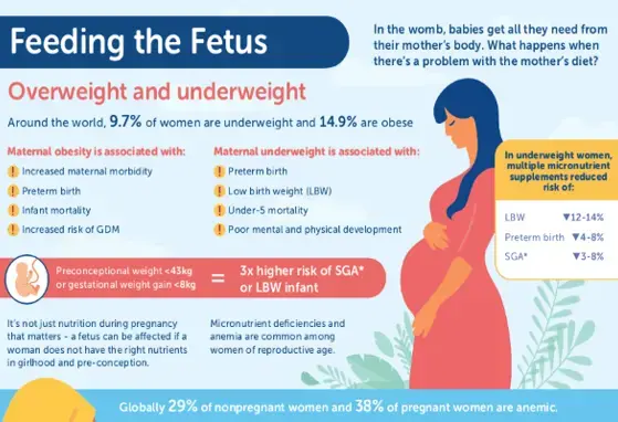 Feeding the Fetus (infographics)