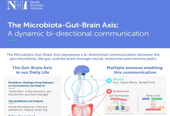 gut brain axis infographic landscape.png