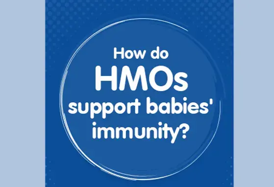 How do HMOs support the immunity of babies? (infographics)