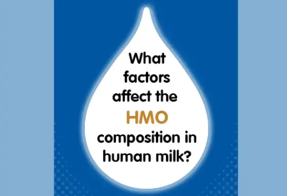 What factors affect the HMO composition in human milk? (infographics)