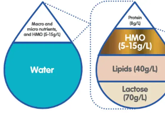 What you need to know about HMOs (infographics)