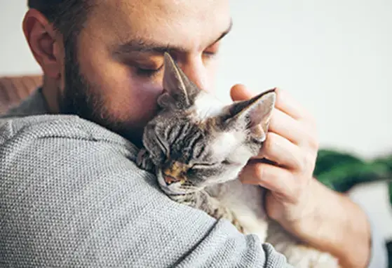 Research first: Keep the cat, change the care pathway for cat allergies (news)