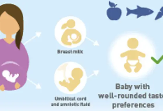 Influencing flavor perception and preference in infants for long-term health (infographics)