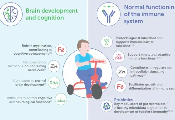 How is Nutrition Associated with the Toddler Development? (infographics)