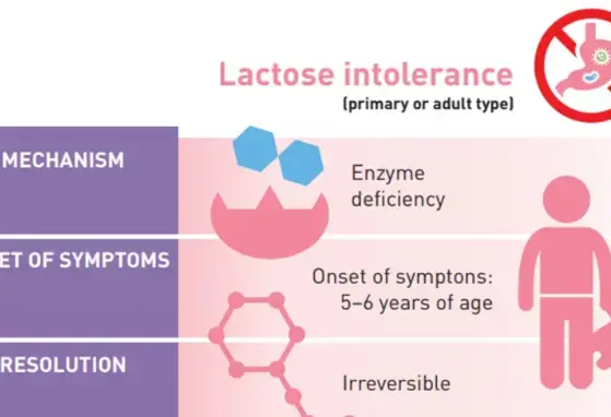 Lactose Intolerance: Common Misunderstandings (infographics)