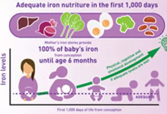 Meeting the iron needs of young children (infographics)