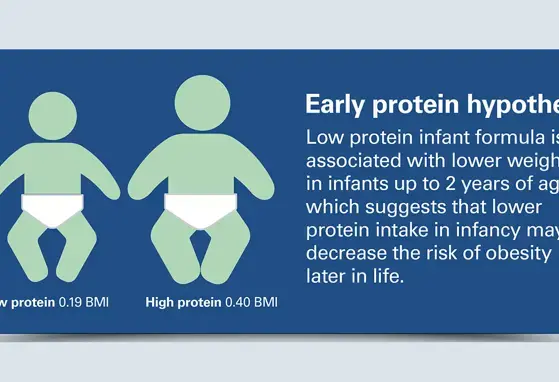 The Changing Nutritional Needs of Infants and the Composition of Breast milk (infographics)