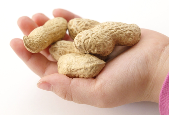 Clinical guidelines to reduce risk of peanut allergy (news)