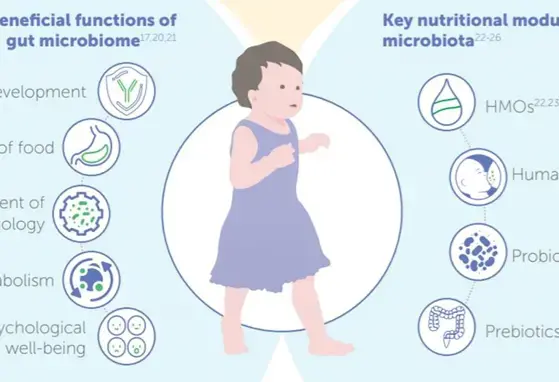 Effect of Nutrition on the Overall Health and Growth of Toddlers (infographics)