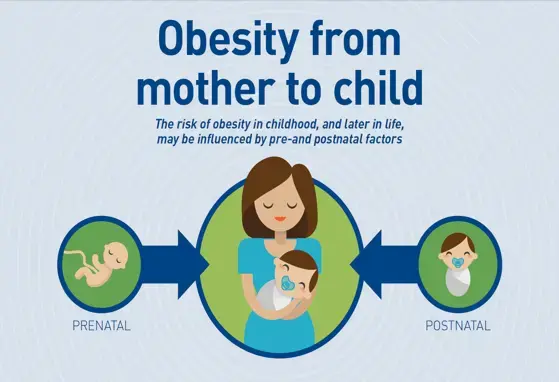 Obesity From Mother to Child (infographics)