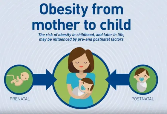 Path to Obesity May Start in Preschool (news)