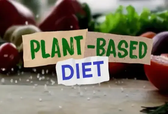 plant based diet landscape.png