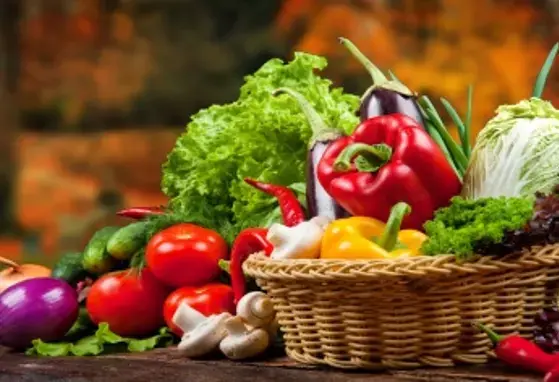 Healthy Diets from Sustainable Food Systems (news)
