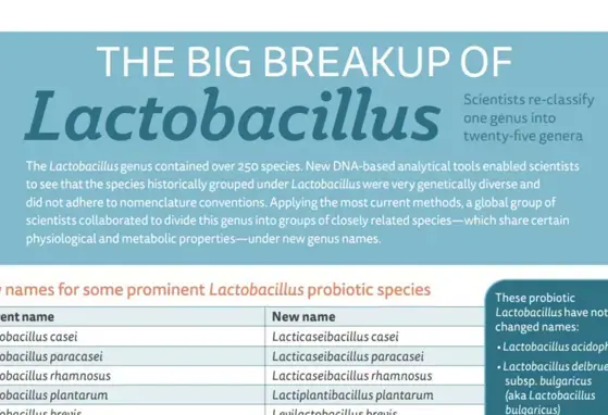 The Big Breakup of Lactobacillus (infographics)