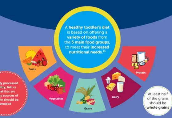 What Toddlers Should and Should Not Eat (infographics)